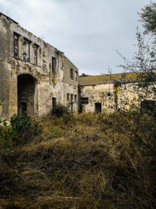 CORTILE VILLA STANGONI