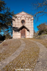 FORESTA-BURGOS-13