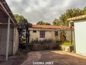 VIVAIO-FORESTALE-4