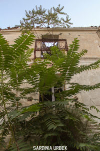 GAIRO-E-OSINI-VECCHIA-38