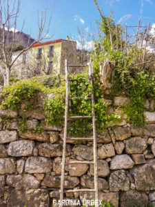 GAIRO-E-OSINI-VECCHIA-5